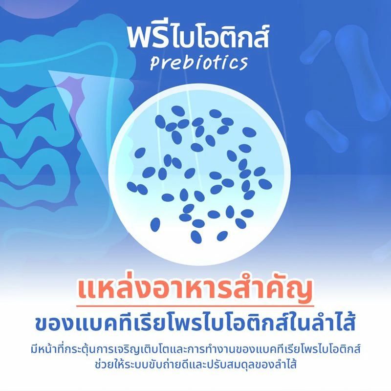 พรีไบโอติกส์ (Prebiotics)